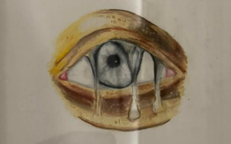 "Нямаме повече деца за губене": Скръб и гняв след смъртта на Сияна