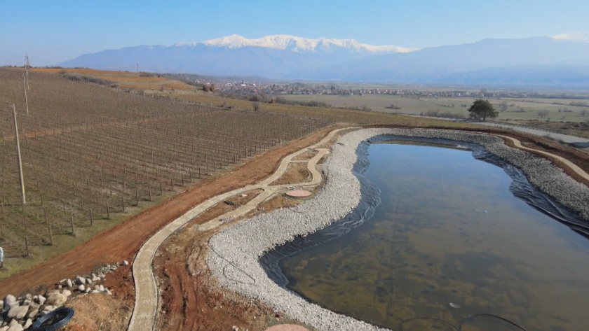 Безводие и бездействие: Земеделци в Кюстендилско не могат да напояват, а продукцията се оскъпява