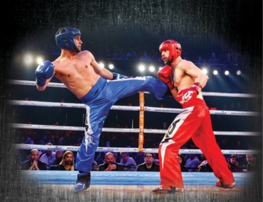 ДП по кикбокс