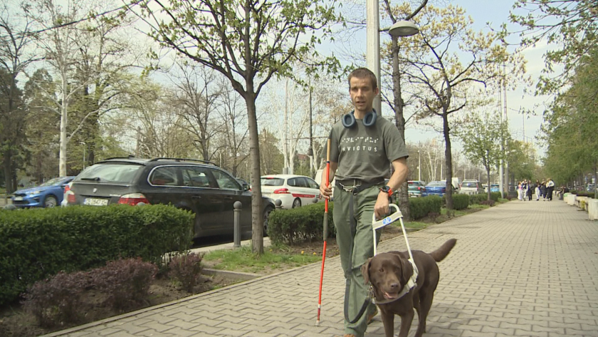 Те са нечии очи - за нуждата от кучета водачи