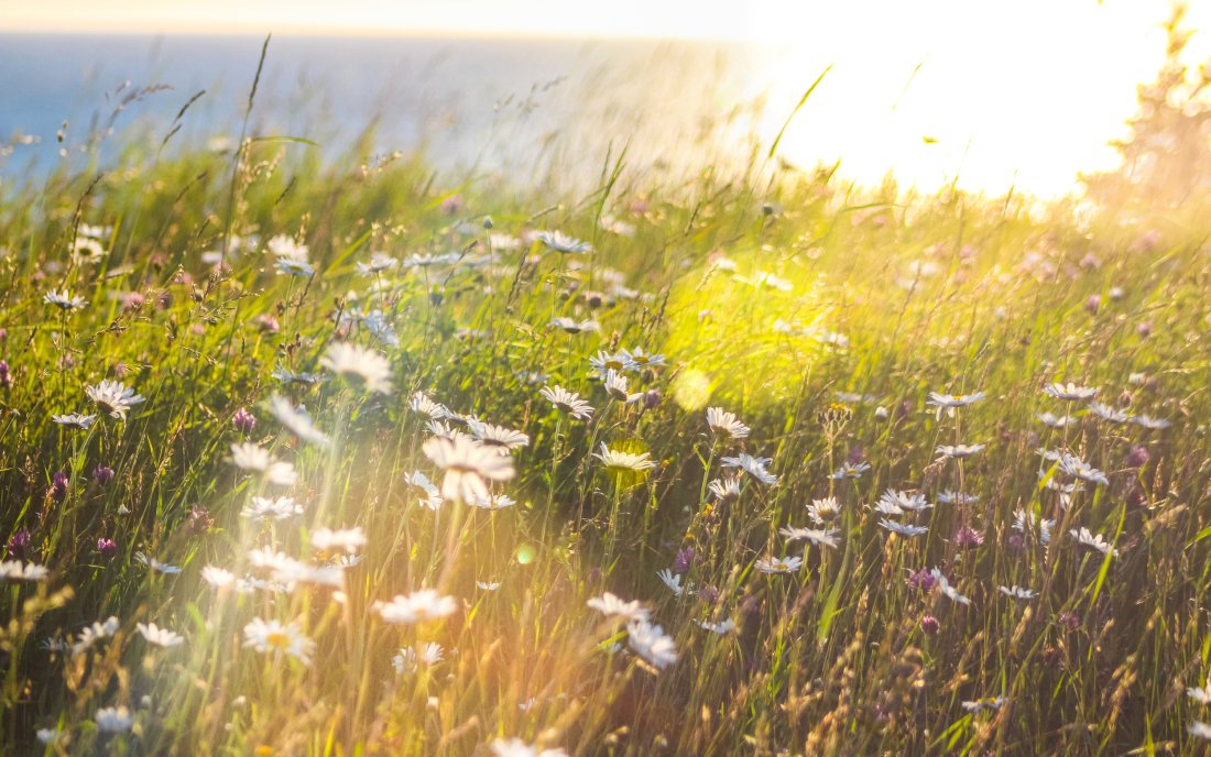 Топло и слънчево време до петък
