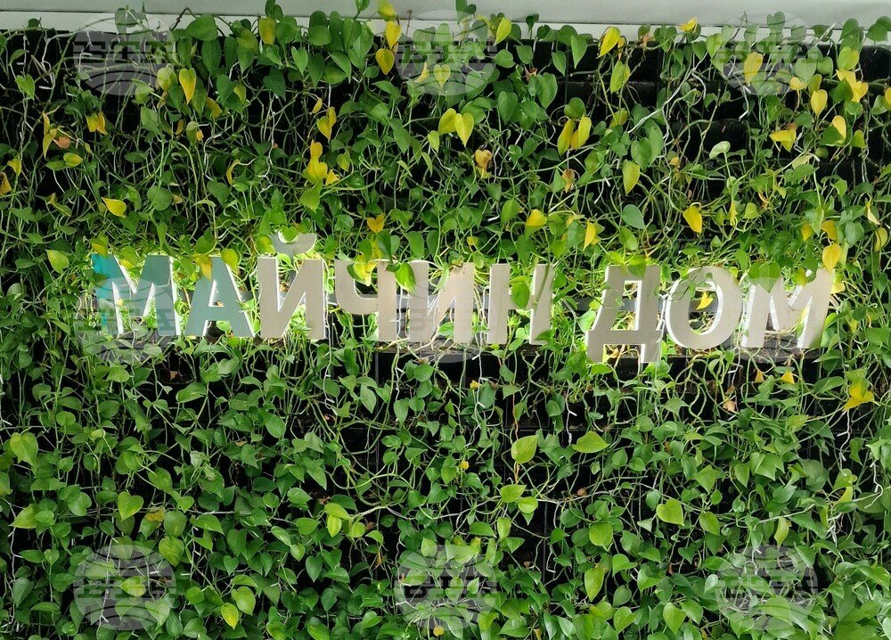 Големи столични болници са без застраховки: Пострадали хора не могат да получат обезщетения