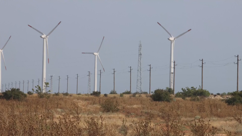 Ще се изсекат ли 240 декара гори във Варненско заради изграждането на нов ветропарк?