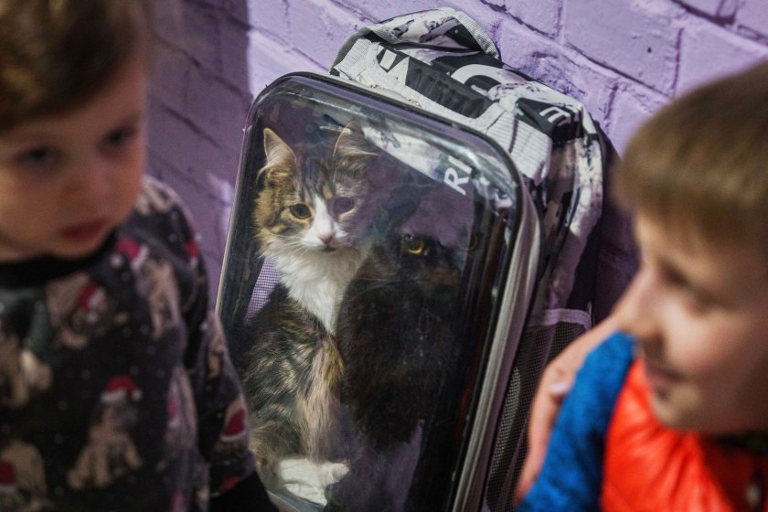 Тръмп към Путин: Владимир, стоп!