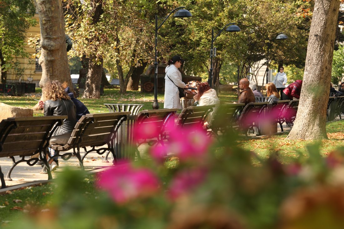 "Myara" polls: Public Attitudes Towards the Government After the First 100 Days of the "Zhelyazkov" Cabinet