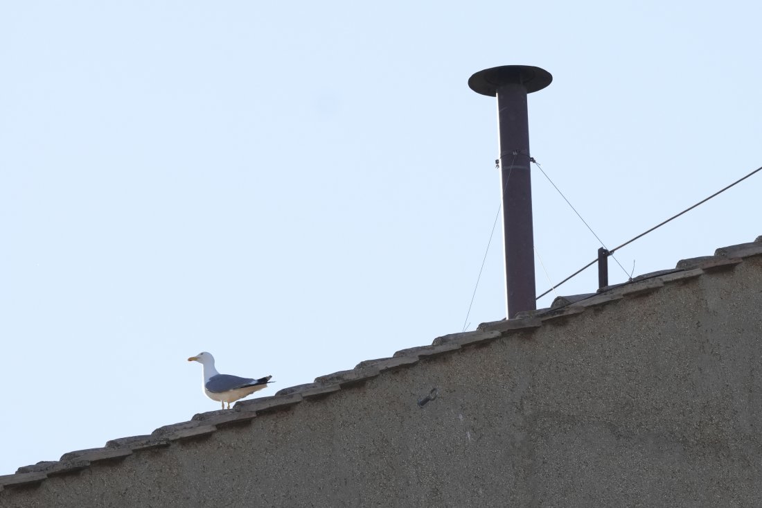 Втори ден от конклава във Ватикана: Бял или черен дим ще се извие от Сикстинската капела