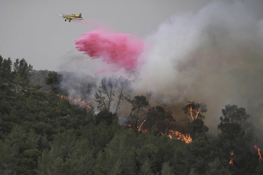 Израел иска помощ от България за справянето с горски пожари край Йерусалим