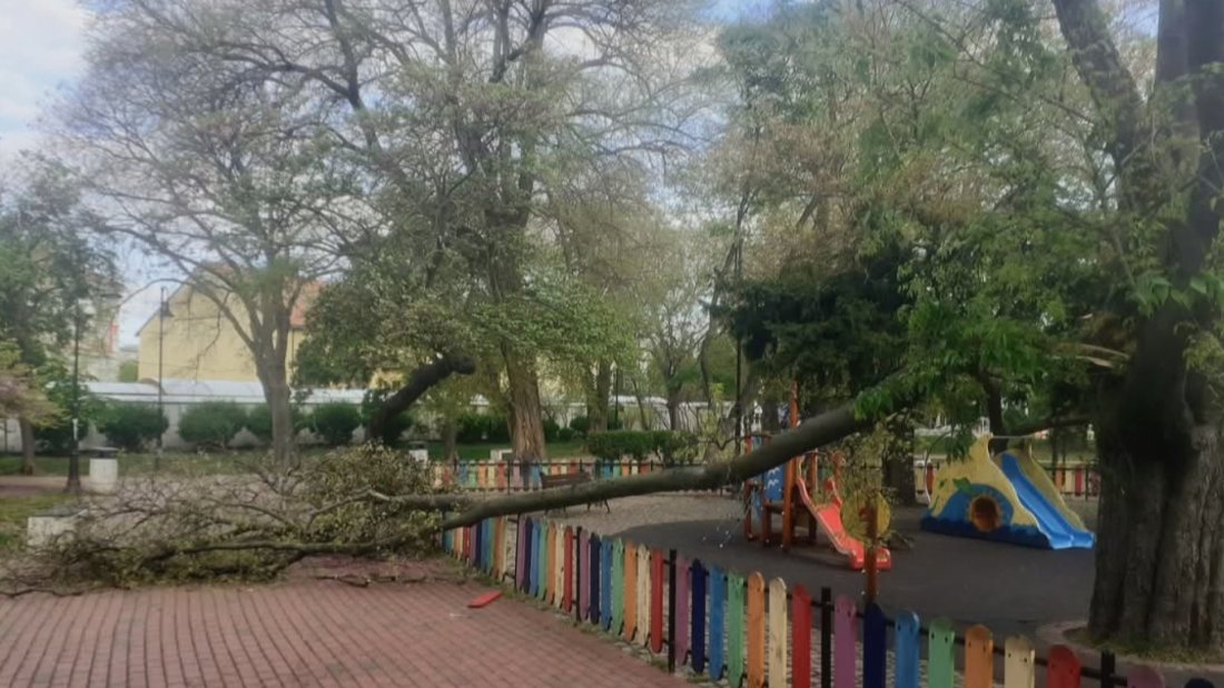 Огромен клон падна върху детска площадка в центъра на Варна