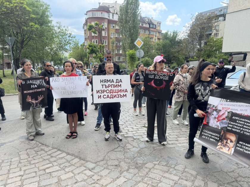 "Не сме ви забравили" - протест в защита на животните се провежда в София (СНИМКИ)