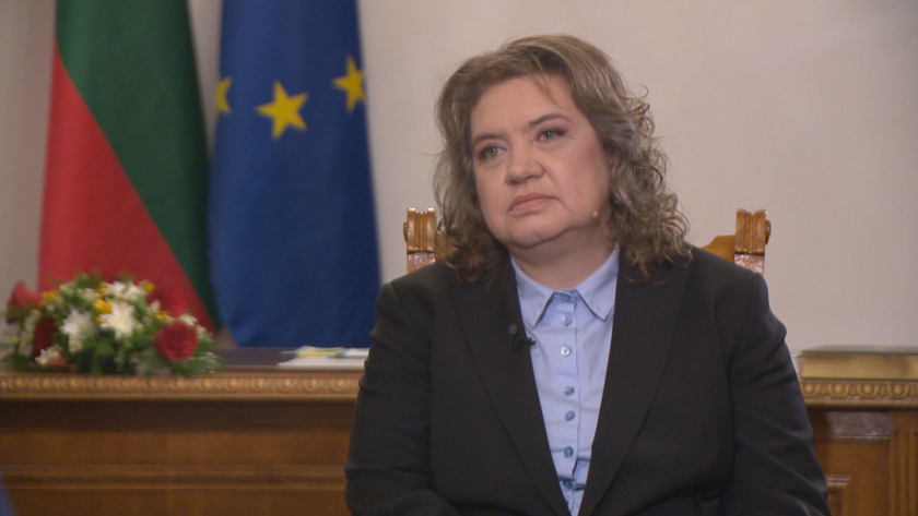 Киселова за сезирането на КС от президента заради референдума: Според мен съдът ще допусне частично искането