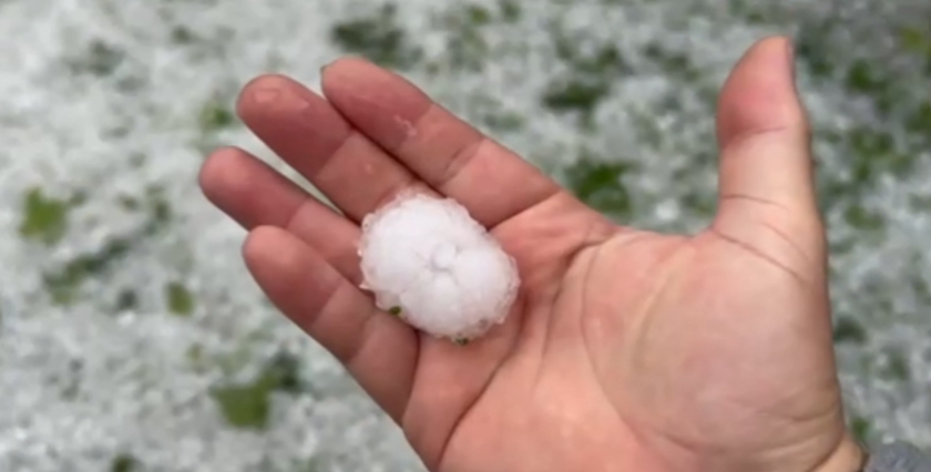 Градушка колкото орех унищожи реколтата в Старозагорско