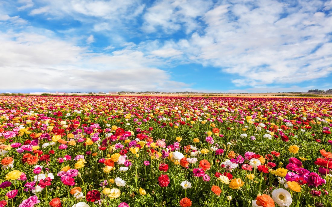 По-топло време в неделя