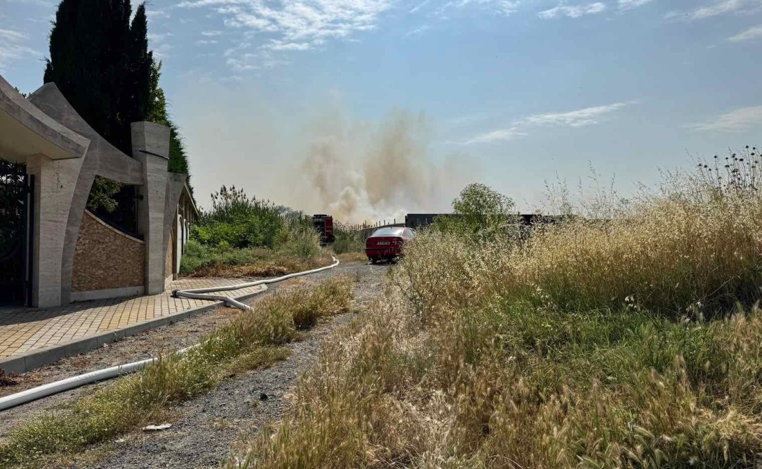 Large Fire in Pomorie, Dry Grasses Burning near Hotel Complex