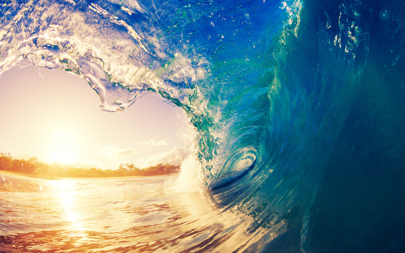 Конференция за океаните в Ница, САЩ бойкотират събитието