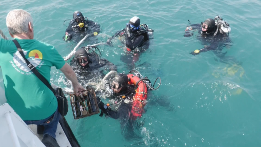 Десетки водолази се включиха в първата обиколка на подводния парк край остров Света Анастасия