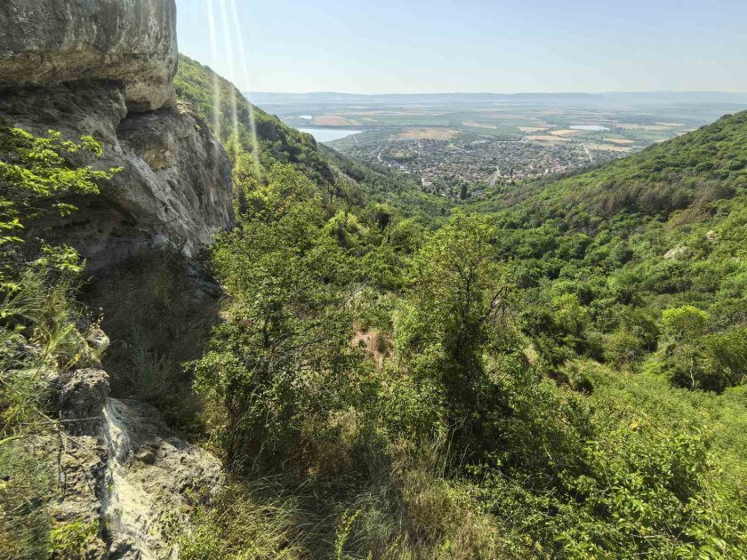 Продължава търсенето на черния леопард - проверяват сигнал, че животното е забелязано вчера