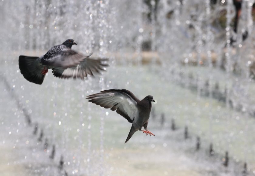 До 40&deg; днес: Обявен е оранжев код за опасни горещини в 17 области