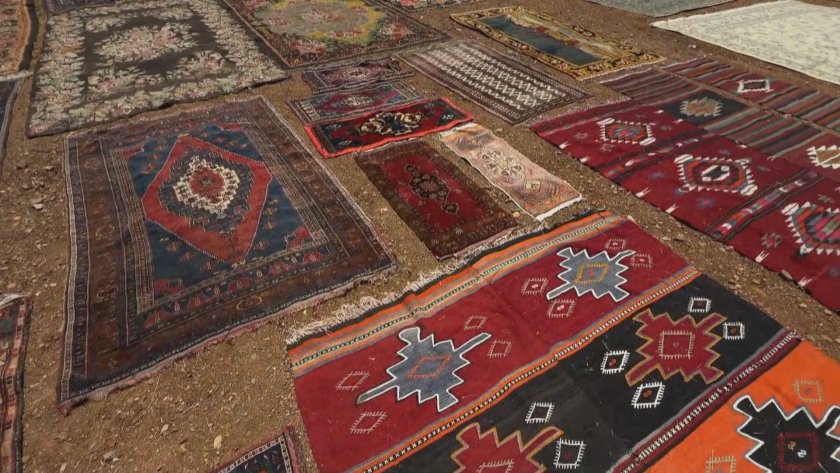 Килимени поля връщат яркостта си под слънчевите лъчи