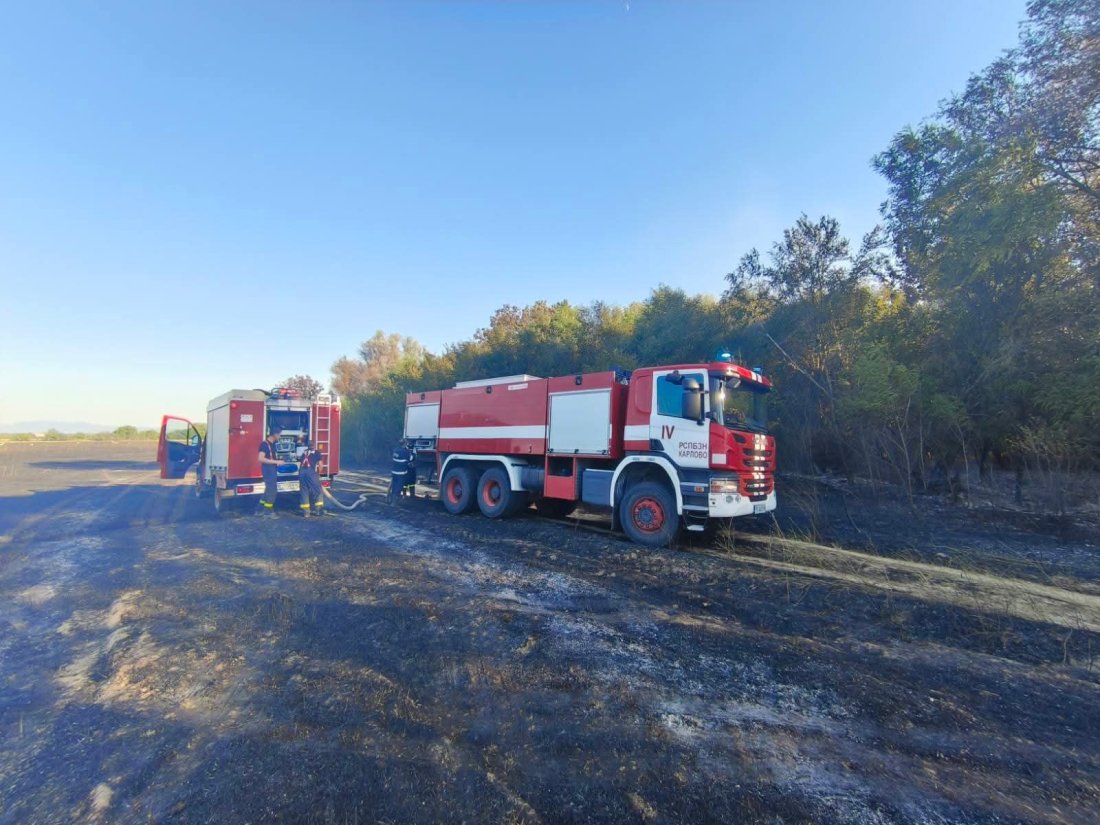 Жегата разпали десетки пожари в страната: Горяха край София, Карнобат, Сливен и Бургас