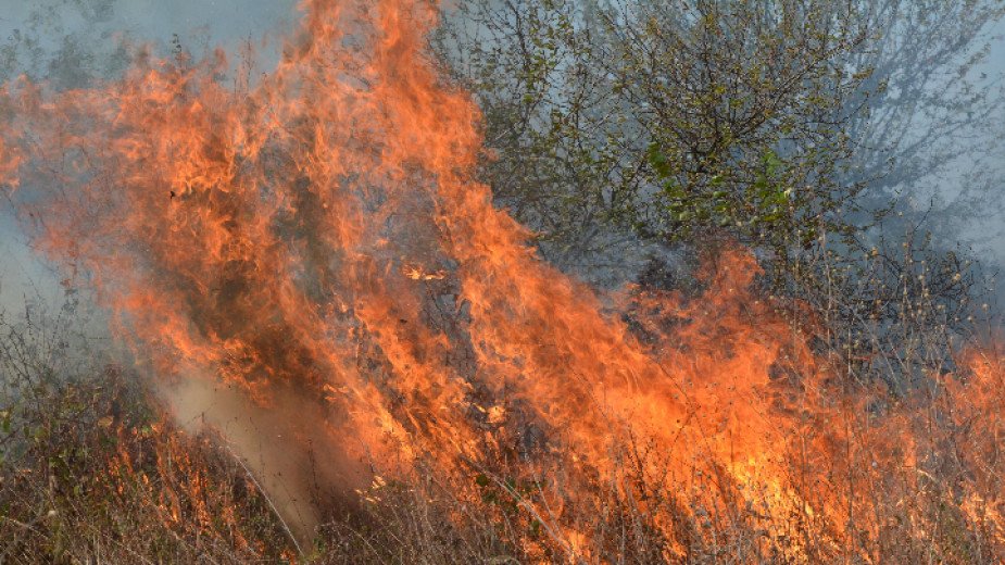 Овладян е големият пожар във вилната зона на хисарското село Михилци
