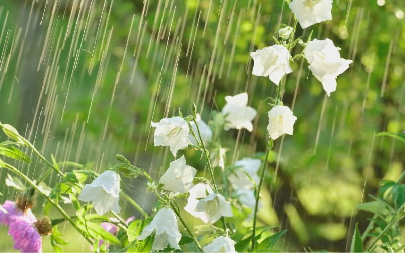 Предстои захлаждане, с условия за гръмотевични бури и градушки