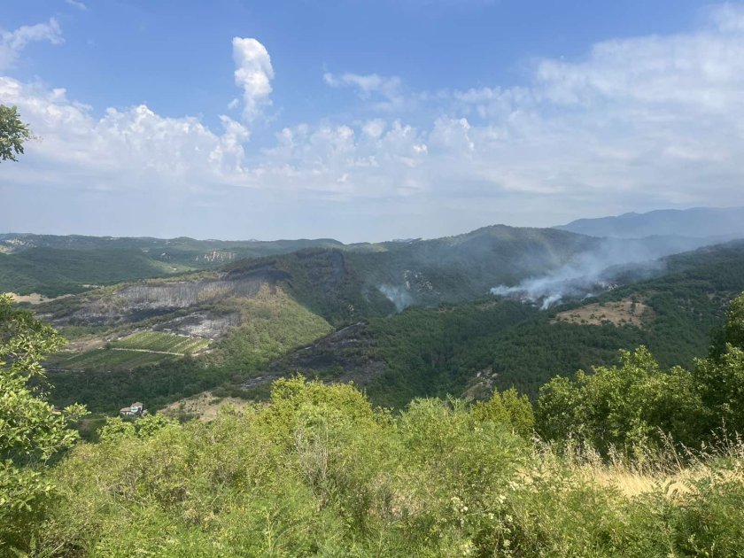 Втори ден продължава борбата с огнената стихия край санданското село Горно Спанчево