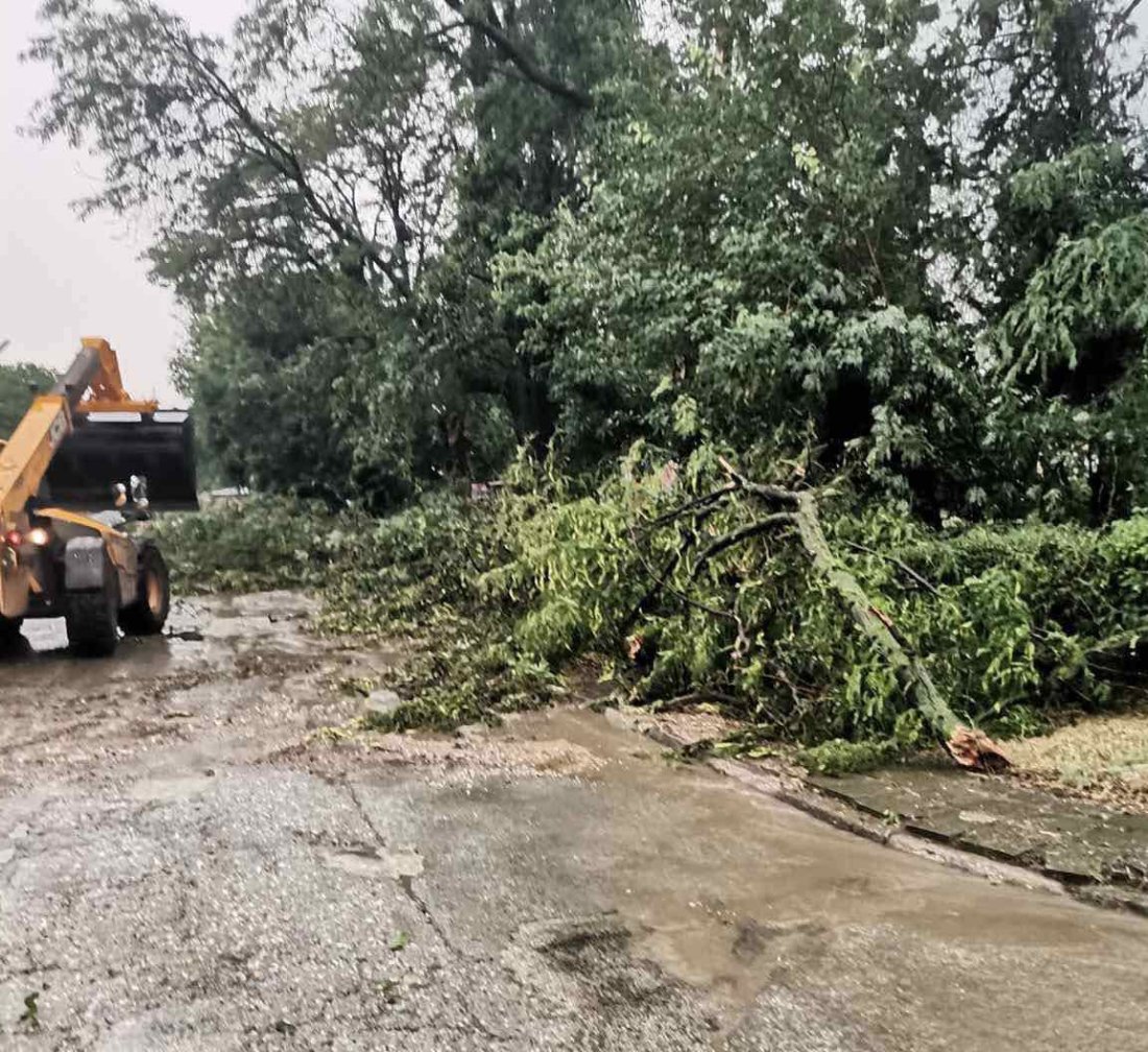 Силна буря удари Плевенско: Паднали дървета, щети по автомобили и покриви (СНИМКИ)