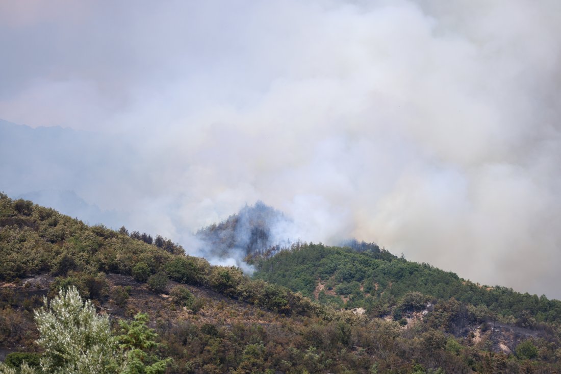 Пожарът край село Горно Спанчево е изпепелил над 700 декара гори и земеделски земи