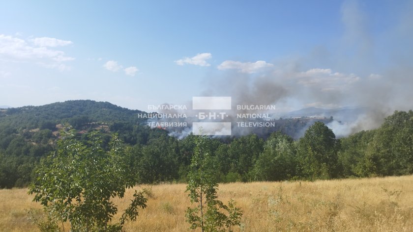 пожар пламна нива благоевградското село марулево