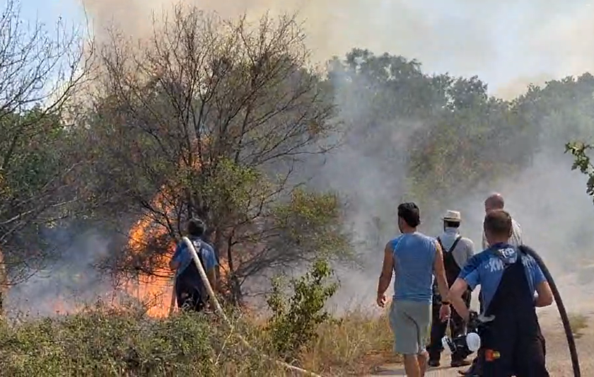 Ограничен е пожарът между брезовските села Пъдарско и Стрелци