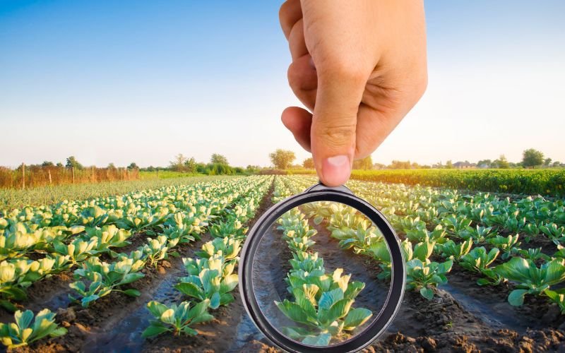 Ползи и рискове: Бизнесът и държавата обсъждат законопроекта за агрохранителната верига