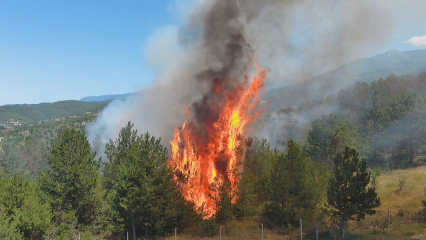 Пожарът в Благоевградско е локализиран, 300 декара са изпепелени