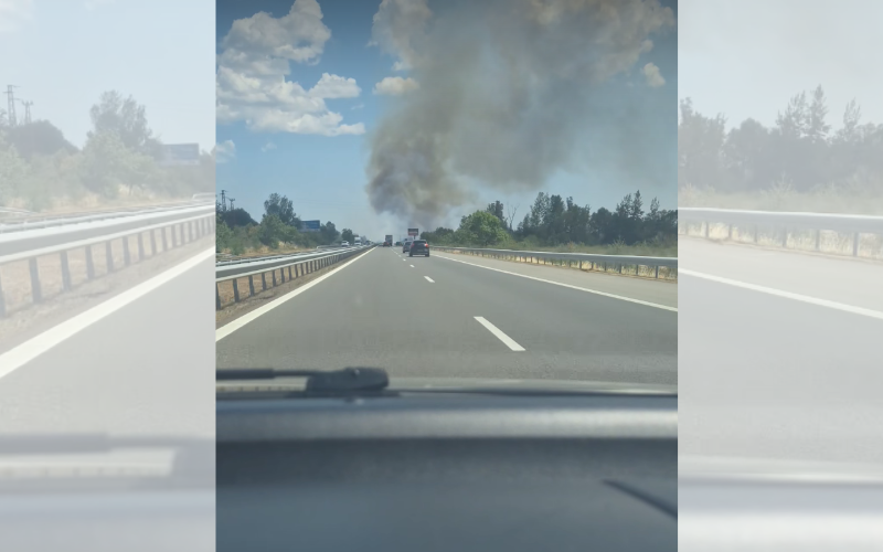Голям пожар затвори за движение АМ "Тракия" и в двете посоки край Пазарджик (ВИДЕО)