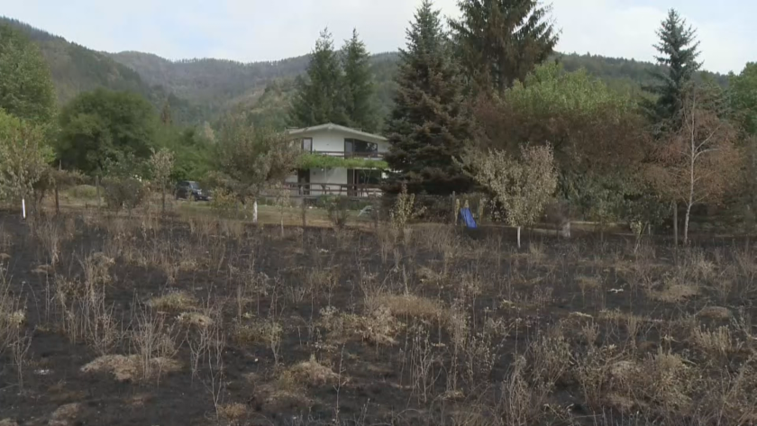 "Мен ми е неудобно, че ми е оцеляла къщата": Разказ от първо лице за стихията, изпепелила село в Трънско