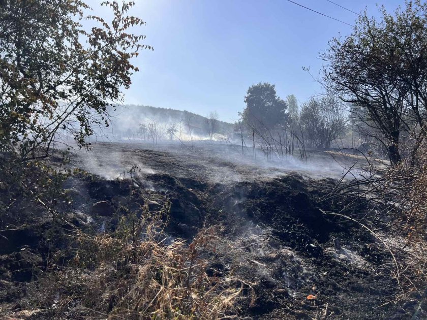 Пожар избухна в руенското село Разбойна, има засегнати къщи (СНИМКИ)