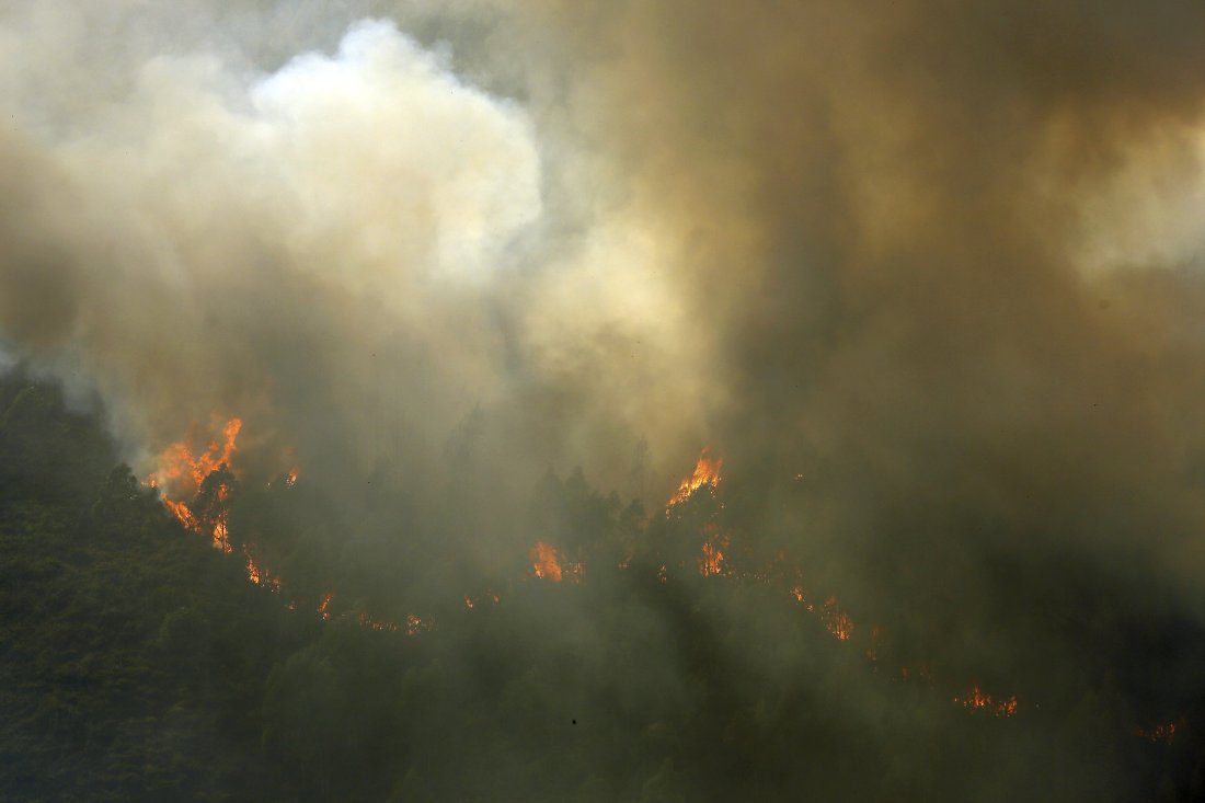 Горски пожари по света: Испания, Португалия и САЩ са в пламъци