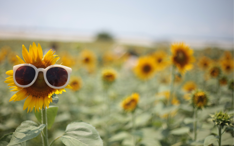 След по-хладен уикенд нова доза затопляне