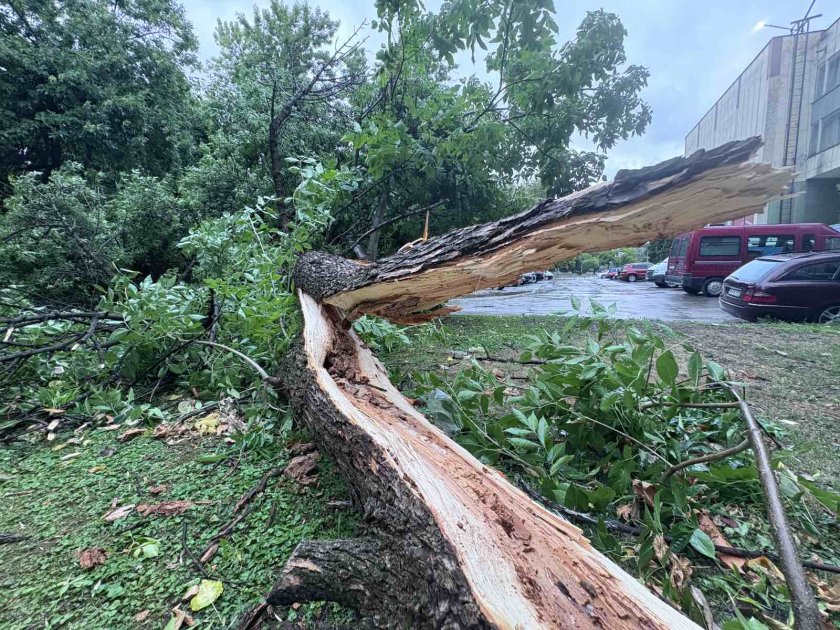 Ураганен вятър се изви в Монтана и в Русе