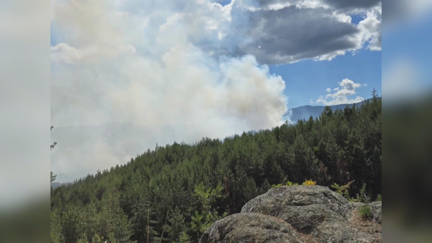 Силен вятър и високи температури затрудняват гасенето на пожара в Рила