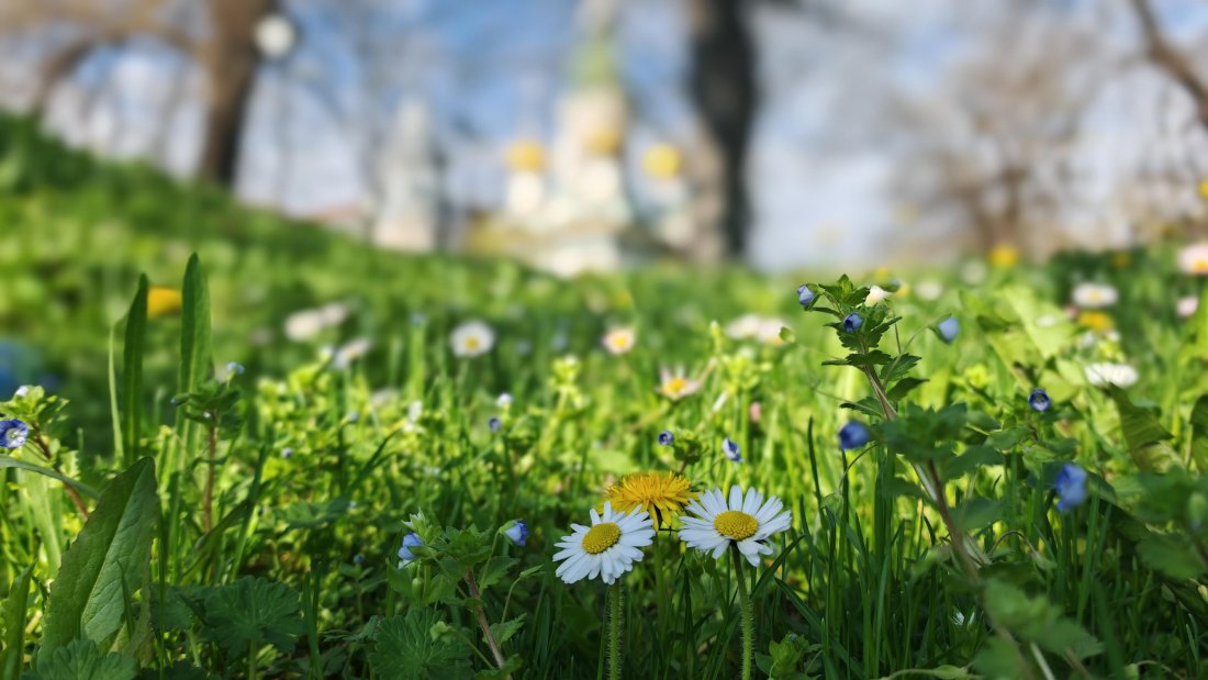 времето прогноза за времето 