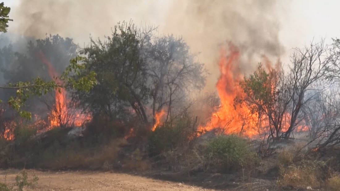 130 000 декара площи са изгорели в Хасковско това лято