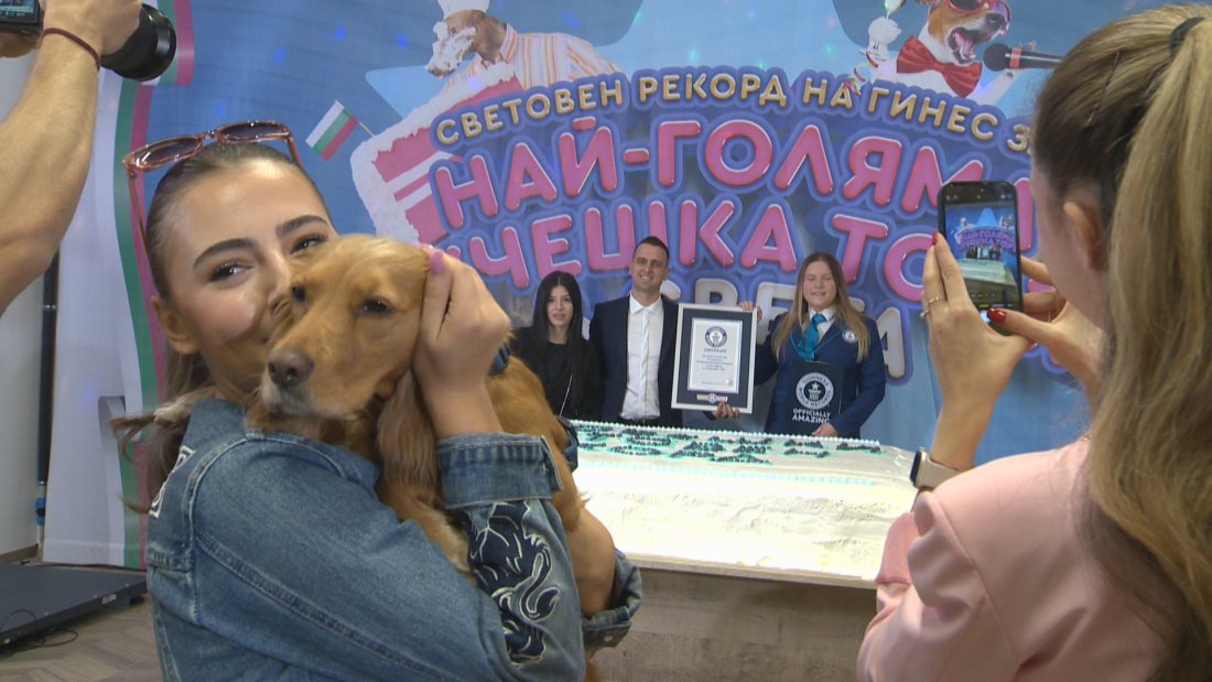 Рекорд на Гинес: Най-голямата кучешка торта в света е направена в България