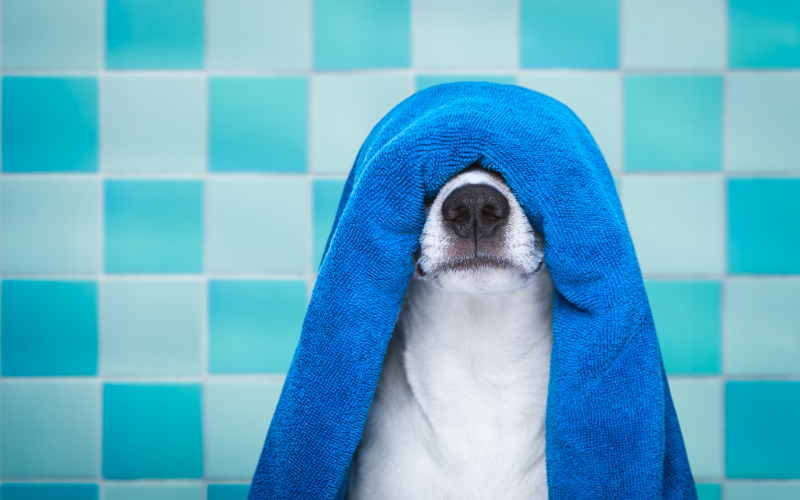 Без вода в 7 квартала на София