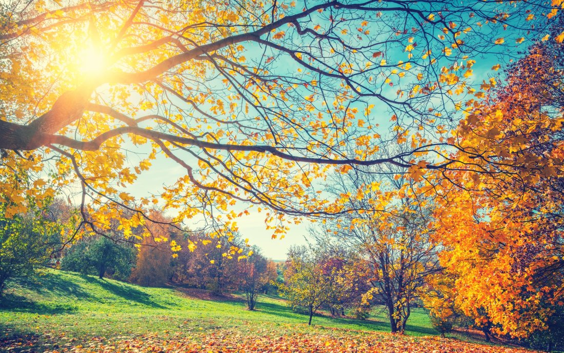 Топло и предимно слънчево време във вторник