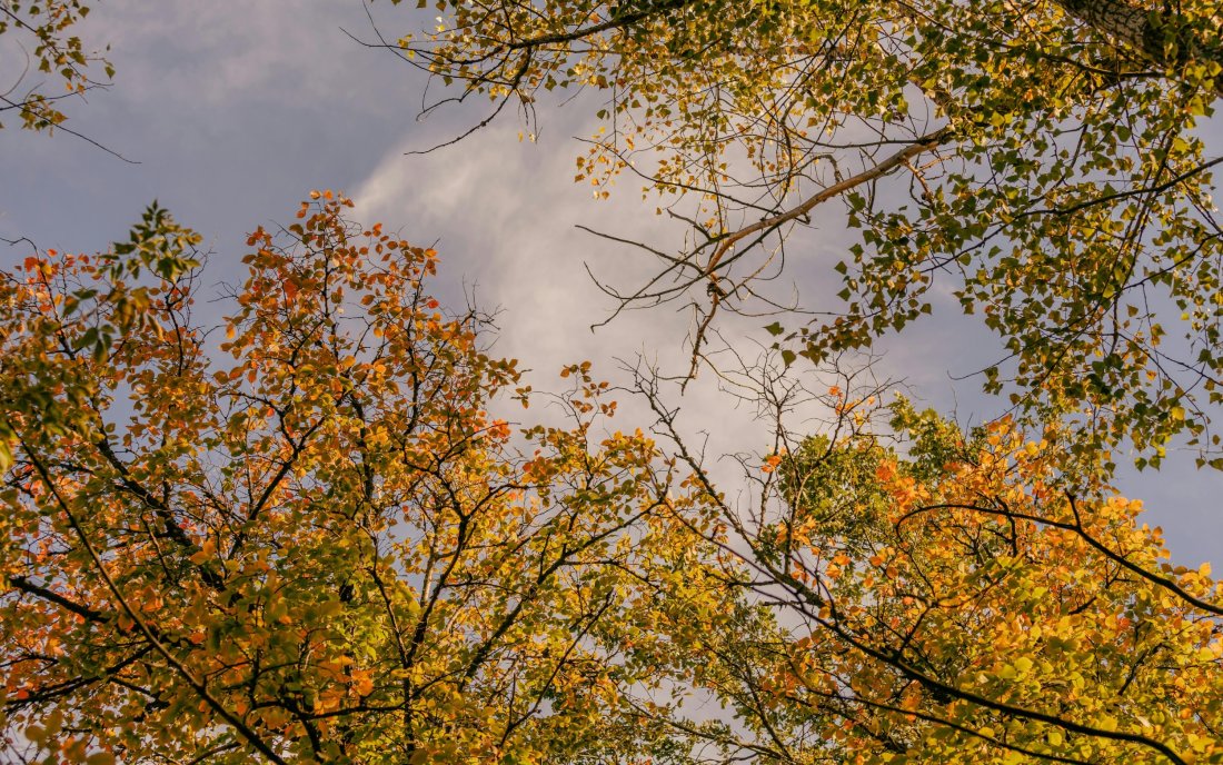 Слънчево и топло до средата на новата седмица