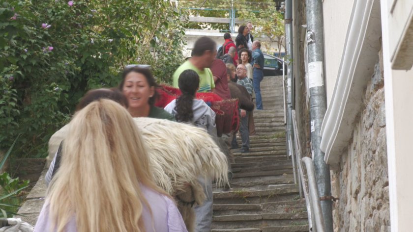 Вместо фитнес във Велико Търново стотици доброволци пренесоха 900 килима