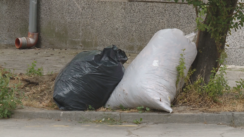 Абсурден казус: Варненец сам почиства градинките около блока си, но няма кой да извози боклука