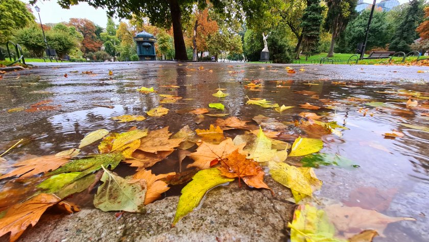 Дъждовна събота