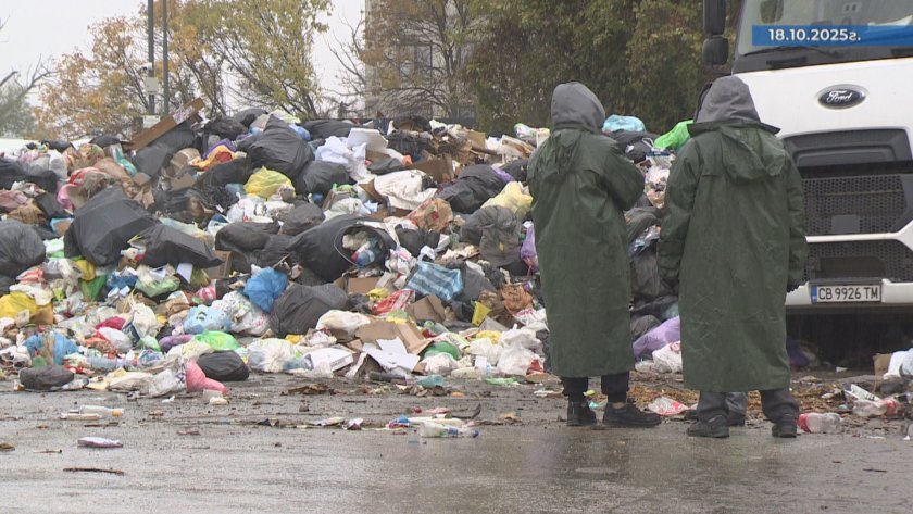 "Такова чудо не съм виждал": Разраства или се нормализира кризата с боклука в София?