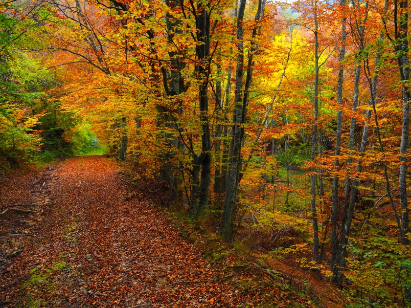 Температури до 23° днес